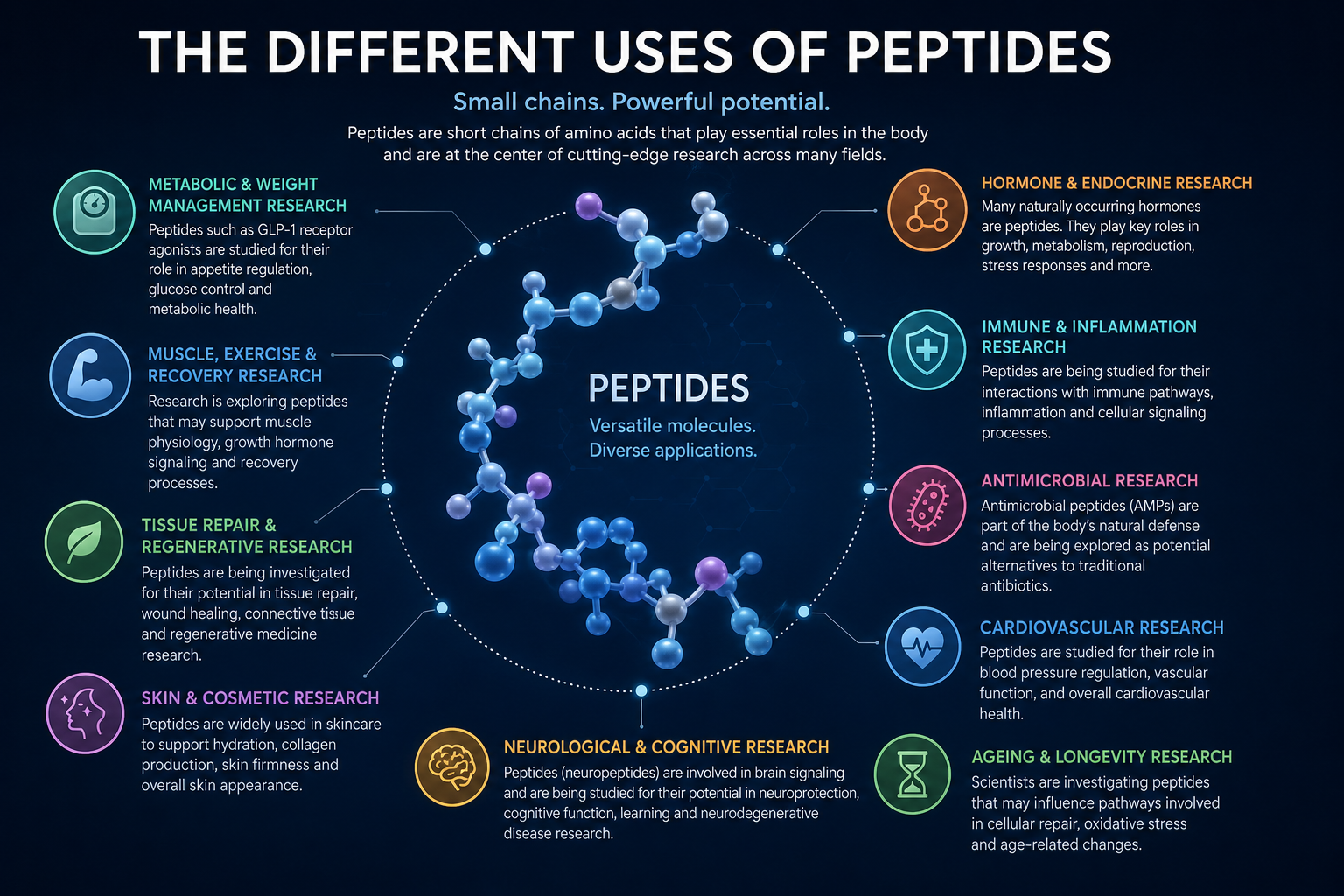 Different peptide uses explained across metabolic, tissue repair, skincare, neurological and antimicrobial research